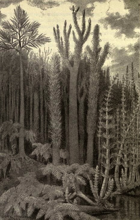 antediluvianechoes: Carboniferous forest scenes by Heinrich Harder, Bruce Horsfall, &amp; W. C. 