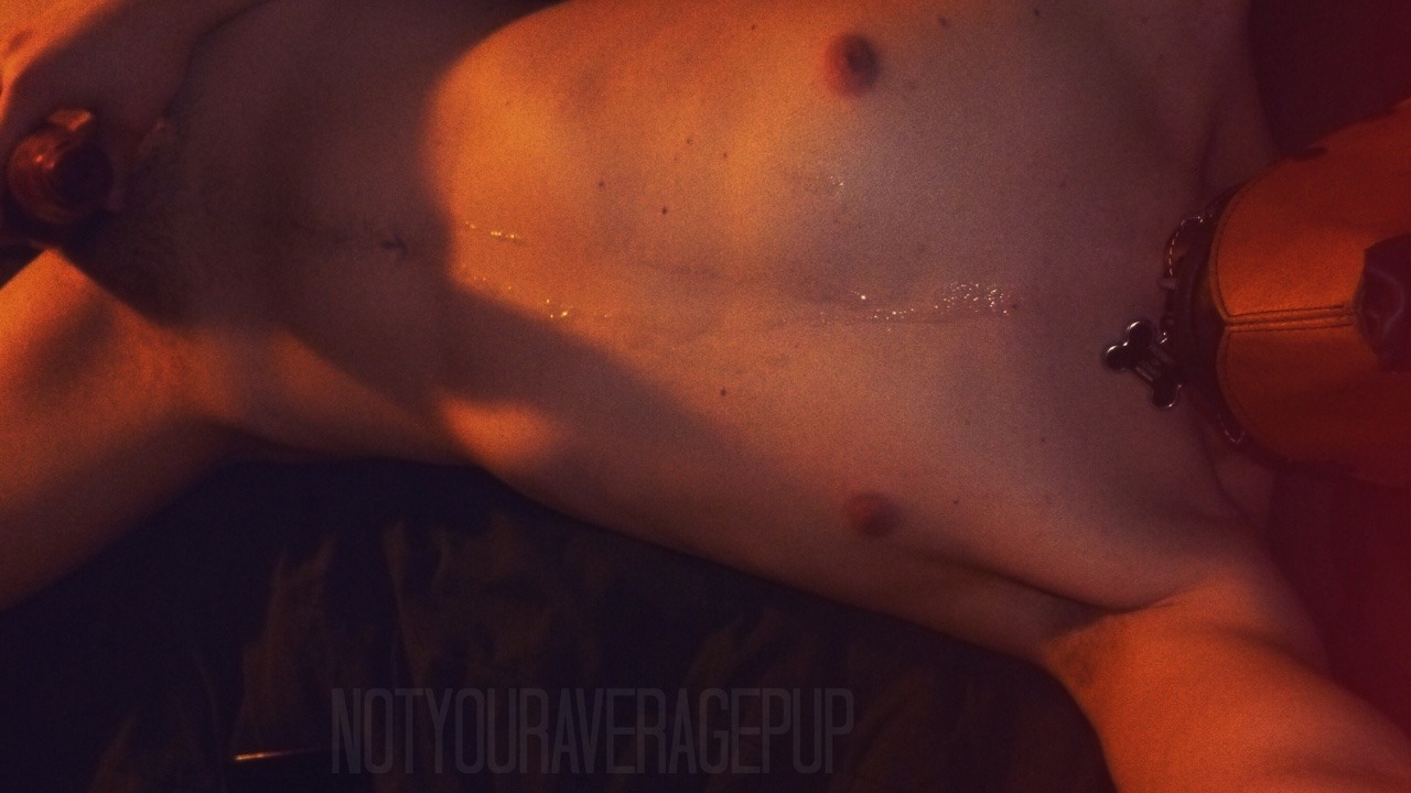 notyouraveragepup:Remembering very shortly after turning 18 I didn’t hesitate on