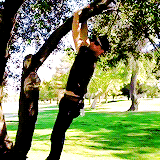 amelliwood:  Stephen Amell + Vine Videos 