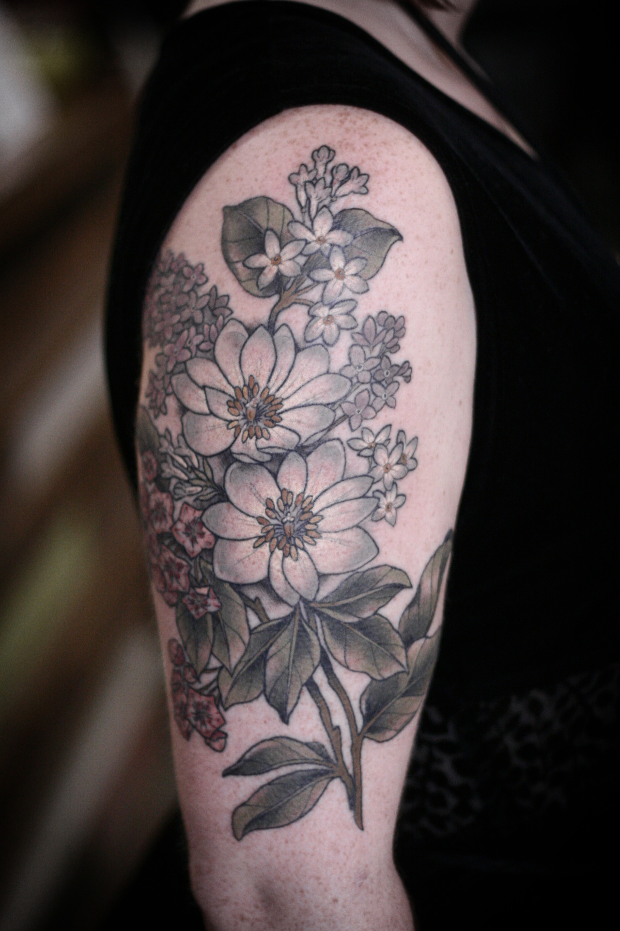 Mayflower state flower of MA  Plant drawing Lotus flower tattoo Flower  tattoo