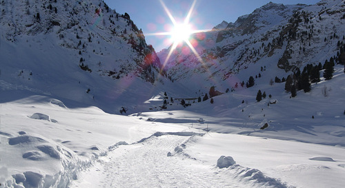 Engadina Swiss