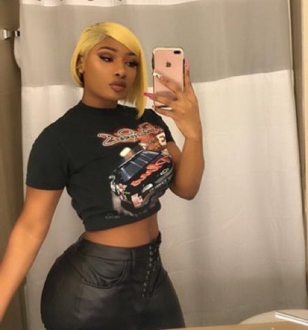 capturedcreations:  eyeblogaboutnothin:  Meghan Thee Stallion as anime characters