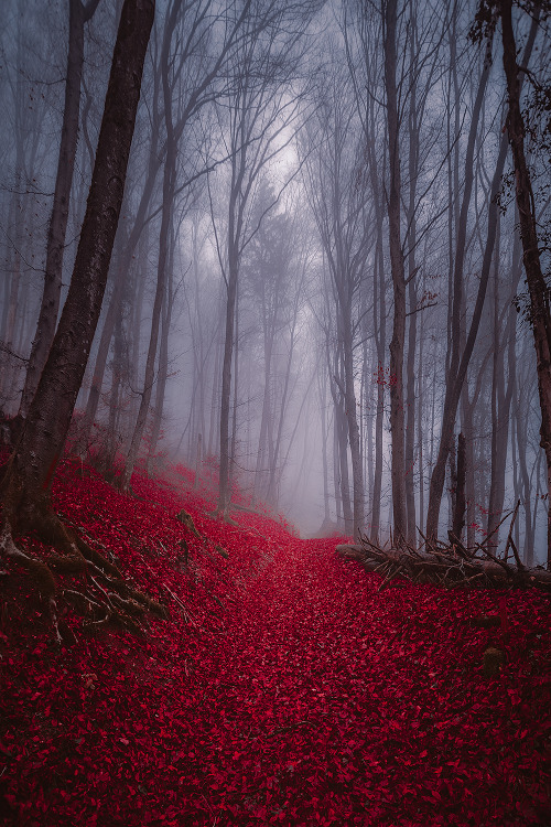john-noe: By John Noe