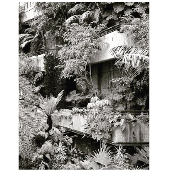 seekndestroyy:  Chamberlin, Powell &amp; Bon | The Barbican Conservatory | London,