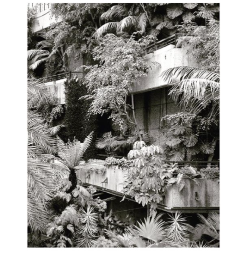 seekndestroyy:  Chamberlin, Powell & Bon | The Barbican Conservatory | London, UK | 1980