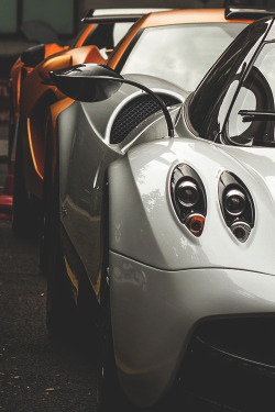 exoticstyle:  The Line Up // ITLL
