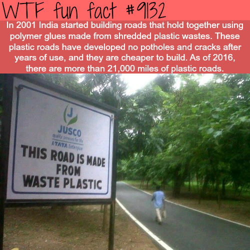 oockitty: irenezelle:  brunhiddensmusings:  wtf-fun-factss: India’s Plastic Roads - WTF fun fact ‘we are dumping all this waste that will not biodegrade and will still be present intact in hundreds of years’‘we also have these roads that degrade