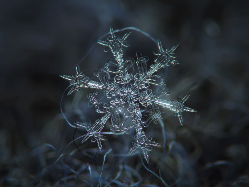 sixpenceee:  Close-Up Photos Of Snowflakes Russian photographer Alexey Kljatov has devised a clever way to bring  the wonder of macrophotography to the minuscule world of snowflakes.  Using a homemade rig comprised  of a working camera lens, a wooden