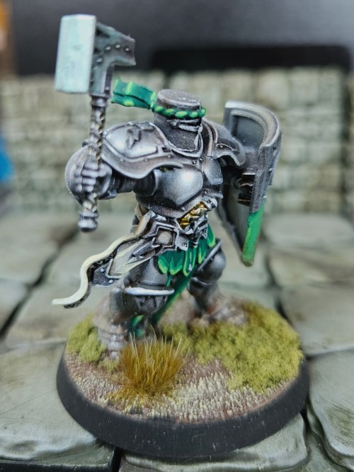Another Stormcast Knight, No Crazy Headpiece For This One. I'd Love To Paint More Stormcast But My Painting