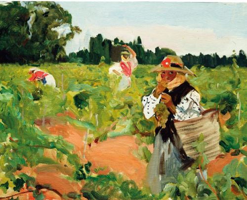 The Grape Harvest , Jerez (Study)  -   Joaquín Sorolla i Bastida , 1914.Spanish, 1863-1923Oil on can