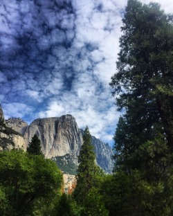 amanda-kathleen:Dreaming of being back in Yosemite National Park