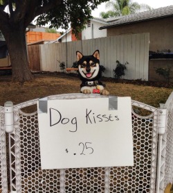 grim-badwolf:  We had a garage sale today