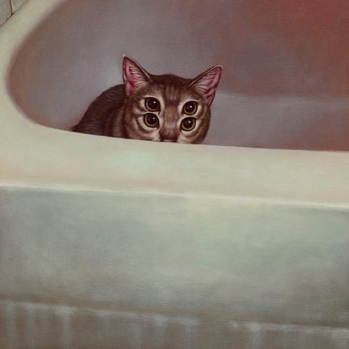 thcbodycleanse:   Casey Weldon  how can i not reblog 