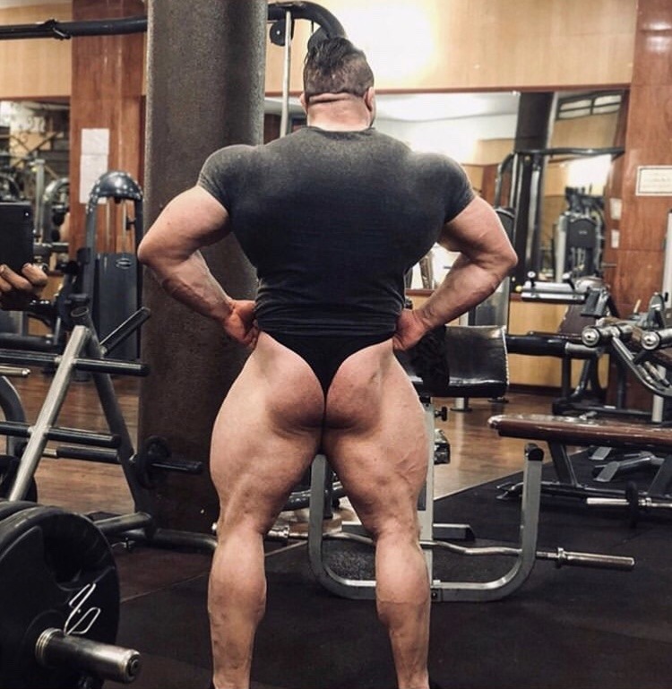 Mehdi Shamshiri
