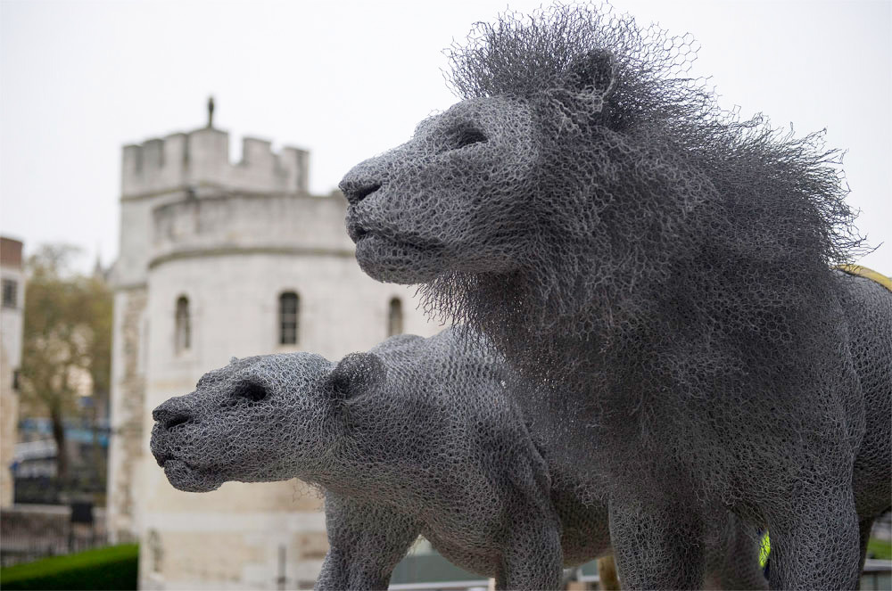 titaniumtopper:  asylum-art-2:   Beautiful lifelike sculptures of animals made of