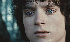 liisbons:  i will not say do not weep, for not all tears are an evil 