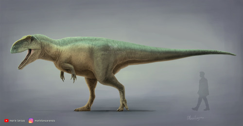 mariolanzas: TYRANNOTITAN Included on my Youtube video dedicated to Allosauroids.Available for 