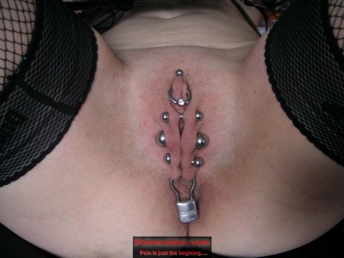pussymodsgalore  Chastity piercing. Photoset showing different combinations of jewelry in her piercings. 