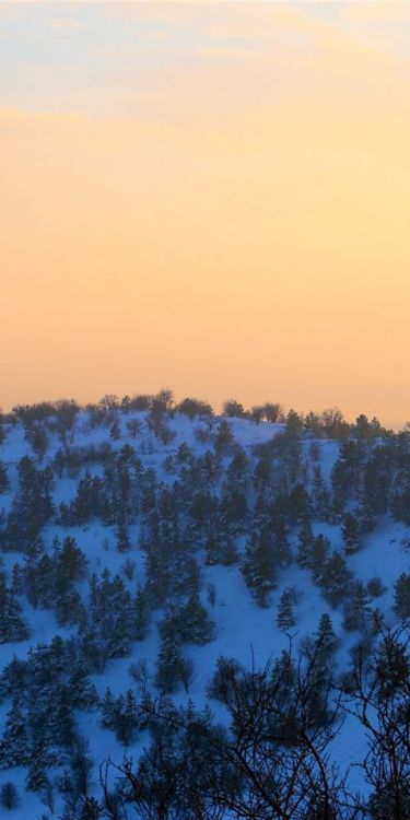 Winter, hilltop, sunset, nature, 1080x2160 wallpaper @wallpapersmug : http://bit.ly/2EBfd6v - http:/