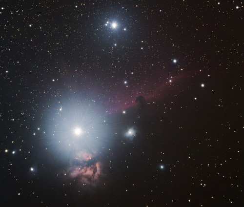 Alnitak in Orion with Flame and Horsehead Nebulae by Jim Thurston