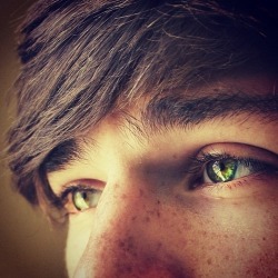 Gorgeous green and gold eyes.