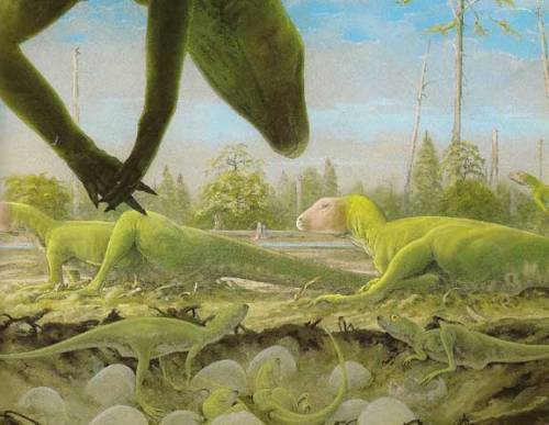 Hypsilophodonts by Doug Henderson