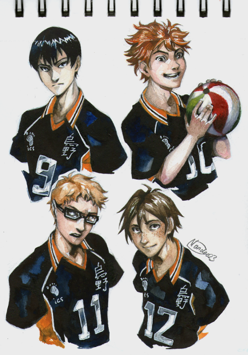 nandoo23blog:  Karasuno boys in watercolor 