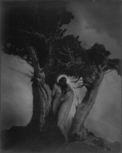 funeral-wreath:  Anne W. Brigman, The Heart of the Storm, 1902. J. Paul Getty Museum. 