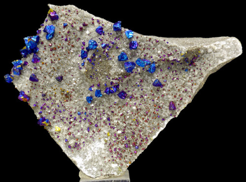 Chalcopyrite & DolomiteLocality: Brushy Creek Mine, Reynolds County, Missouri, USASize:  7.7 x 6