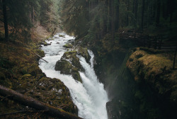 hikewhileyoucan:  hikewhileyoucan:  givncvrlos:  the mood of sol duc falls (by manyfires)   hike while you can  hike while you can
