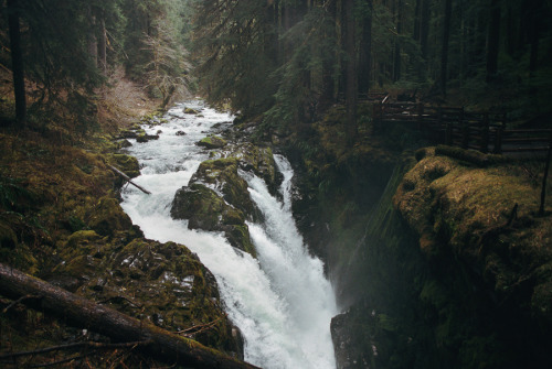 givncvrlos: the mood of sol duc falls (by manyfires)