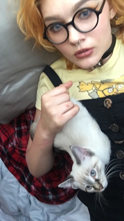 I’m holding the prettiest kitten