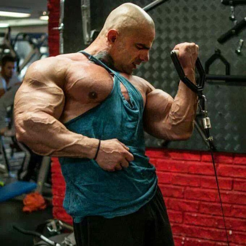 Musclemechanic