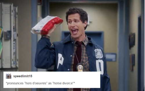 phil-the-stone:  BONUS: Jake Peralta: Human Disaster (he’s trying really hard, okay) + tumblr text posts, ft. Amy Santiago 