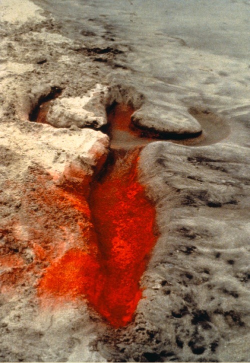 lazybonesillustrations:  Ana Mendieta - Untitled (Silueta Series), 1973-1980See more Ana Mendieta posts here.