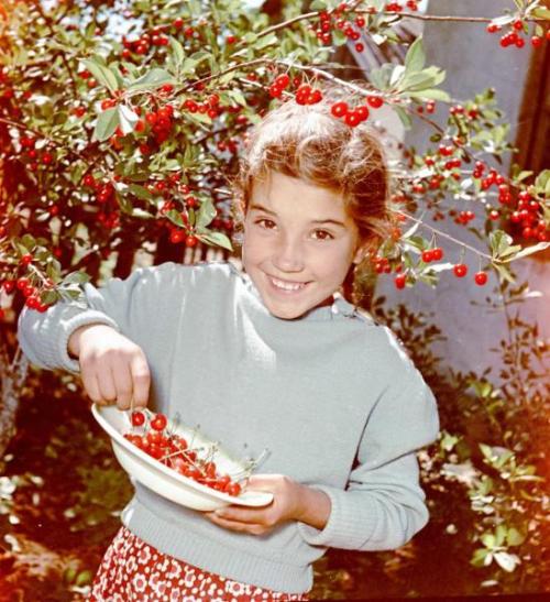 sovietpostcards:  Nadya Molchanova with cherries. Photo by Vsevolod Tarasevich (Ukraine, 1956).