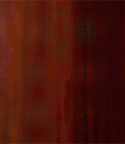 jcoleknowsbest:  talesofthestarshipregeneration:  note-a-bear:  yizere: Gabourey