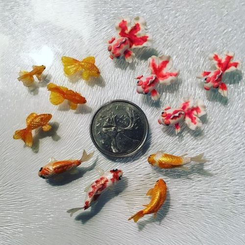 Hey look! It&rsquo;s a bunch of tiny adorable fish! Fingers crossed this project is going to tur