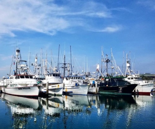 Perfect day for a stroll along the Embarcadero.#sunnysandiego #embarcadero #seaportvillage #fishin