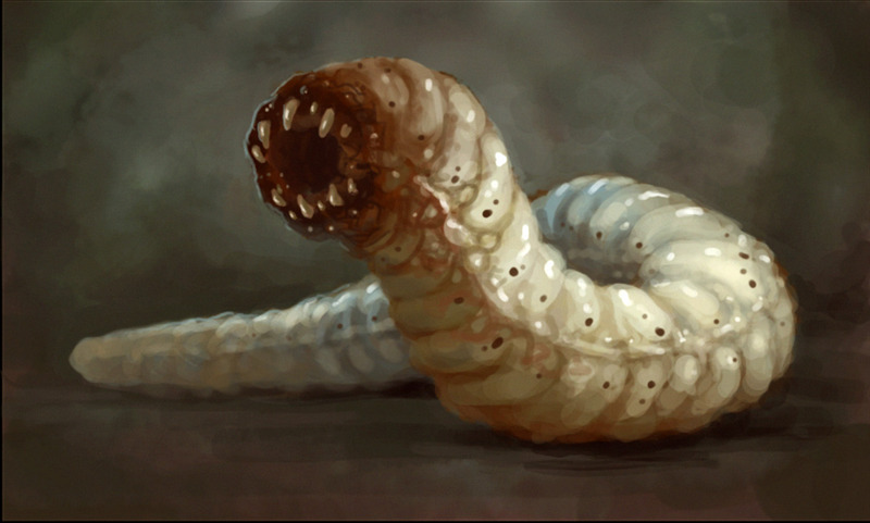 The Monster Blog of Monsters — Mongolian Death Worm Also called  olgoi-khorkhoi