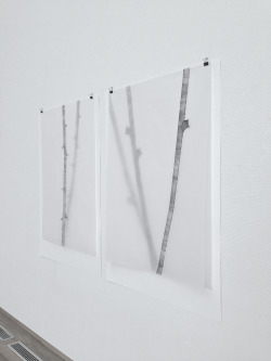 zahidmovla:installation view @ Pulchri Studio 