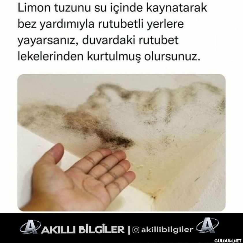 Akıllı Bilgiler on...