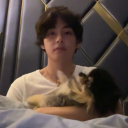 tan-veee - 탄 - 뷔