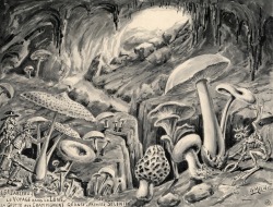 magictransistor:  Georges Méliès. La Grotte