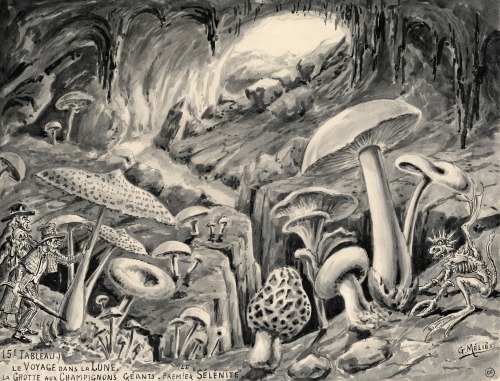 magictransistor:  Georges Méliès. La Grotte des Champignons Géants, c. 1930.