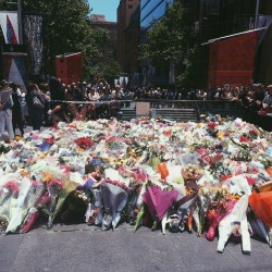 poutful:  howlsmovingcastle:  The Sydney siege memorial. Flower shops are sold out for blocks in every direction, strangers are handing out tissues to those who need it, and people are weeping openly. Keep strong Sydney.  Sydney is such an beautiful city