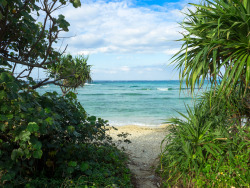 okinawa-photo:  入り口を抜けてそこに海が始まる。