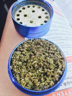 andthesorcerersstoned:  Full grinder 😍