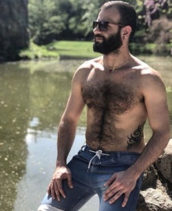 Hairy on Holiday