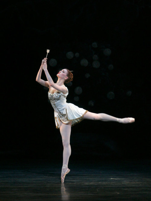 Gillian Murphy in Ashton’s Sylvia, American Ballet Theatre, May 2016. © Rosalie O’Connor.Murphy’s ch